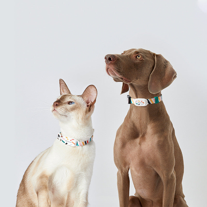 TailMate RingTag™ Smart Pet Finder & Activity Tag