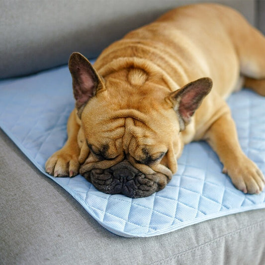 TailMate™ Cooling Mat