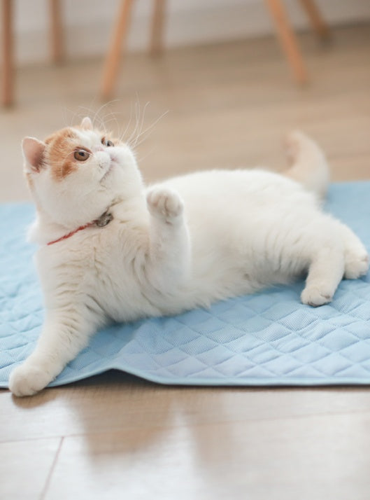 TailMate™ Cooling Mat