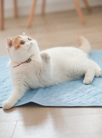 TailMate™ Cooling Mat